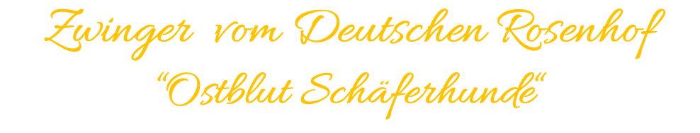 Zwinger vom Deutschen Rosenhof “Ostblut Schäferhunde“